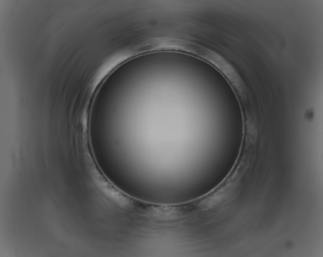X0000093381198200710111448