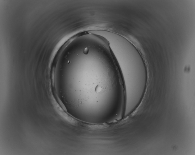 X0000093381200200710111448