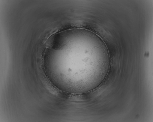 X0000093381201200710111448
