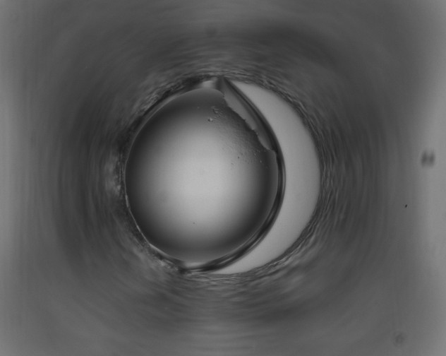 X0000093381202200710111448