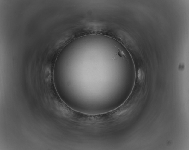 X0000093381203200710111448