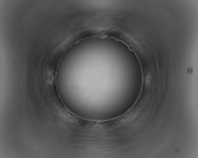 X0000093381204200710111448