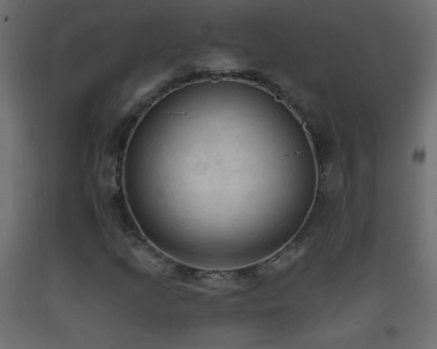 X0000093381205200710111448