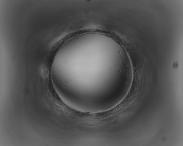 X0000093381206200710111448