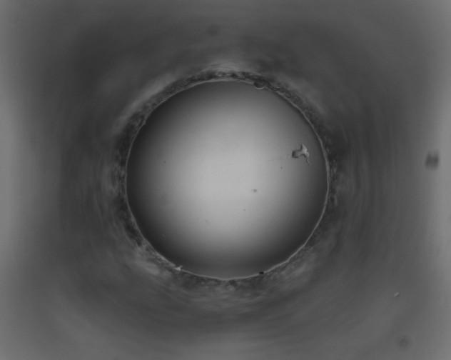 X0000093381207200710111448