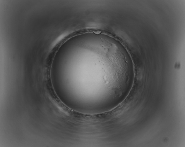 X0000093381208200710111448