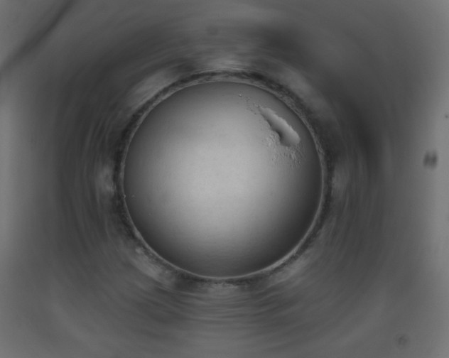 X0000093381209200710111448