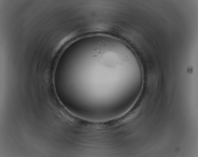 X0000093381210200710111448