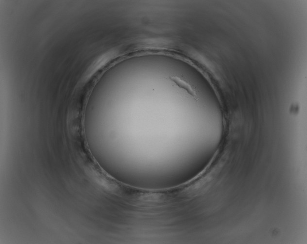 X0000093381211200710111448