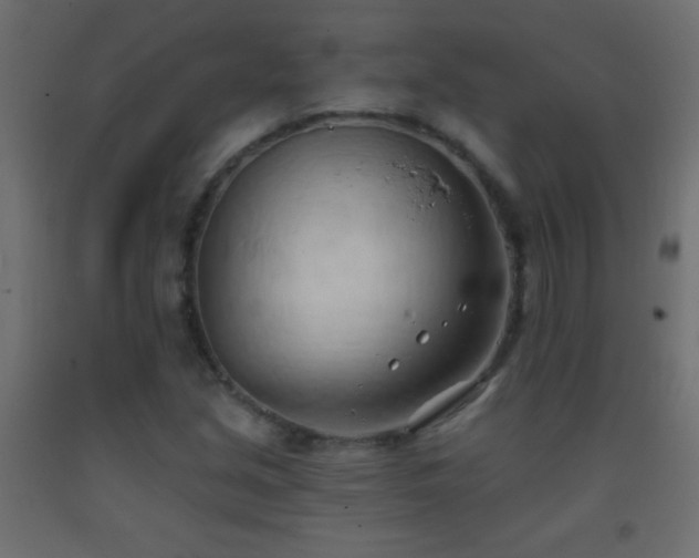 X0000093381213200710111448
