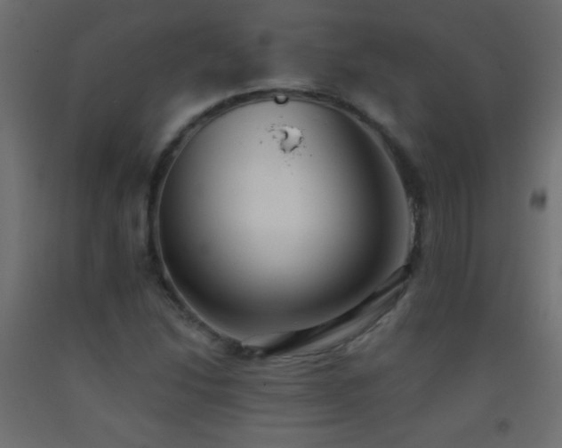 X0000093381214200710111448