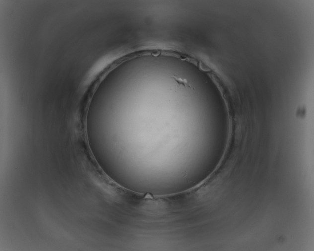 X0000093381215200710111448