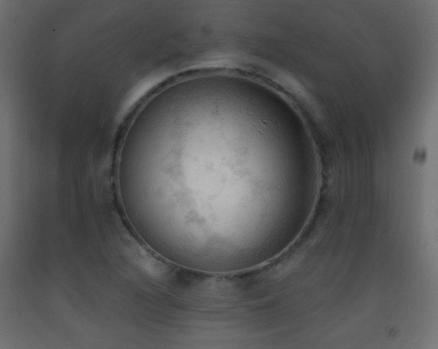 X0000093381216200710111448