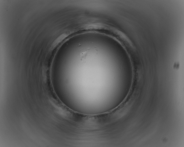 X0000093381217200710111448