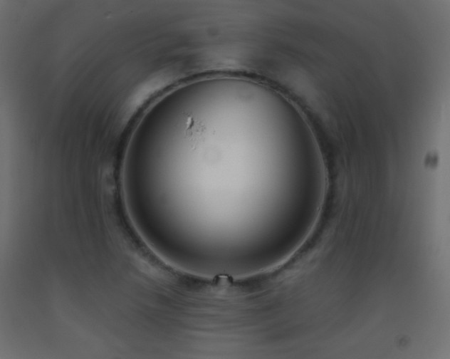 X0000093381218200710111448