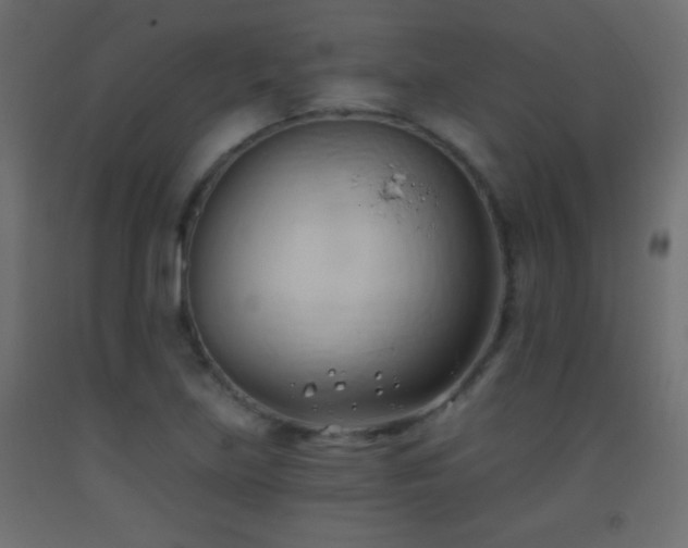 X0000093381219200710111448