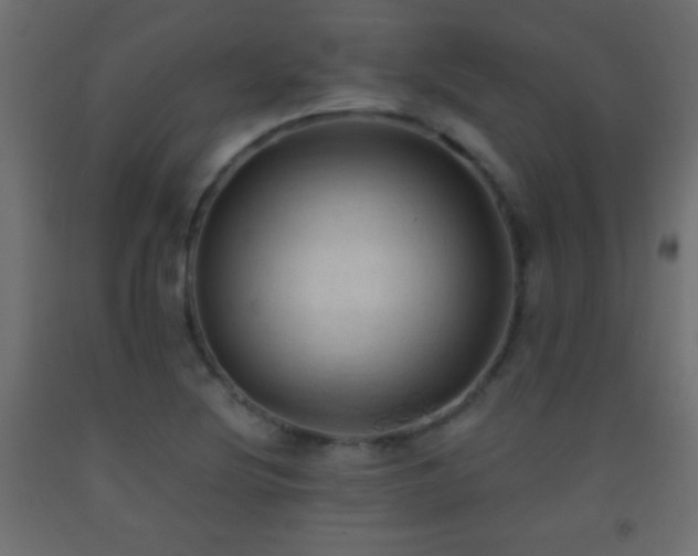 X0000093381220200710111448