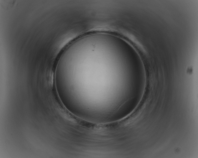 X0000093381221200710111448