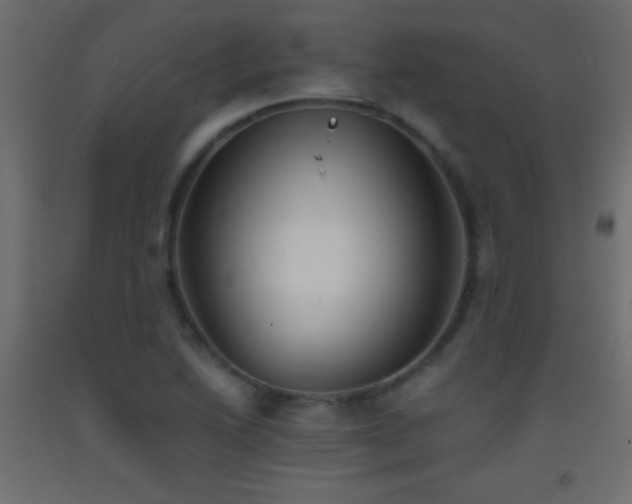 X0000093381222200710111448
