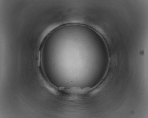 X0000093381223200710111448