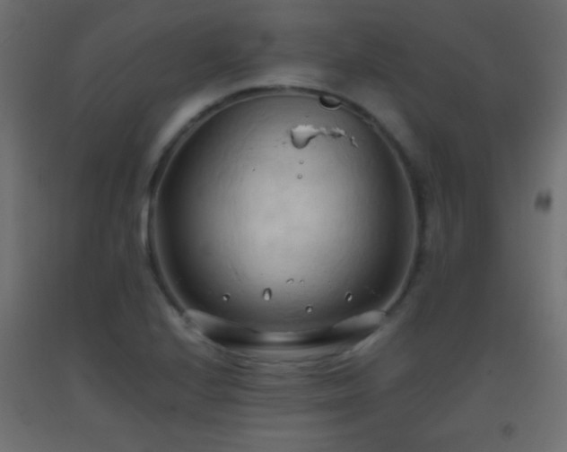 X0000093381224200710111448