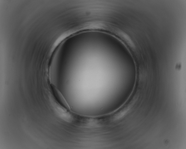 X0000093381226200710111448