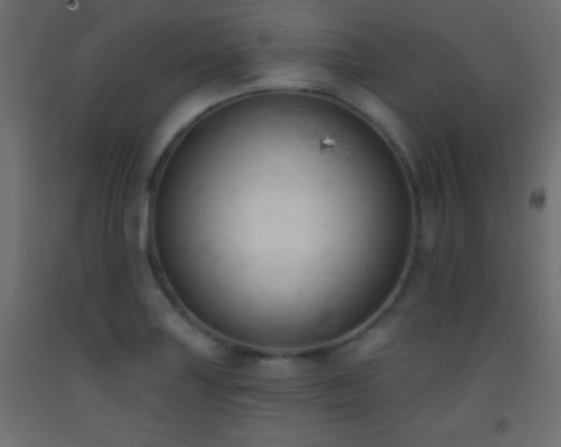 X0000093381227200710111448