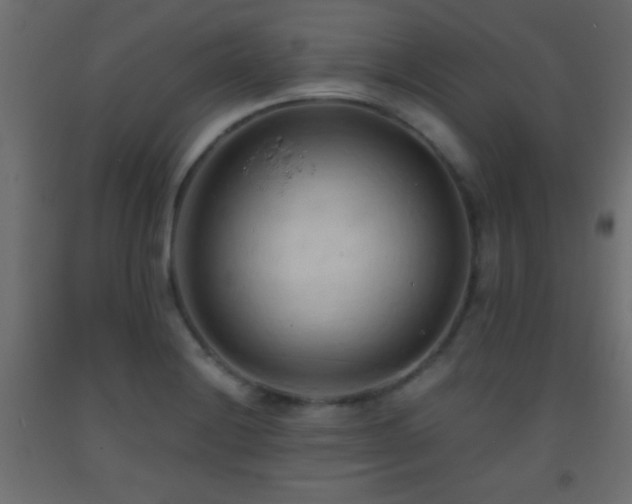X0000093381228200710111448