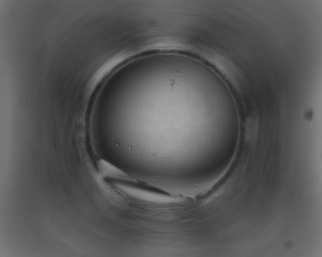 X0000093381229200710111448