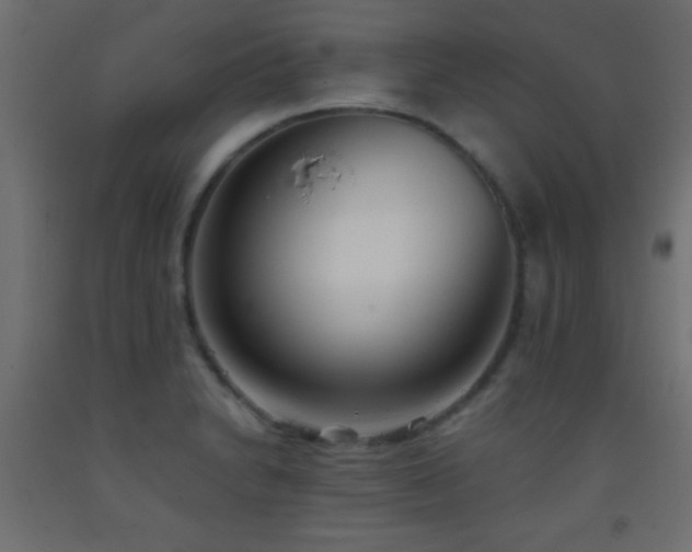 X0000093381230200710111448