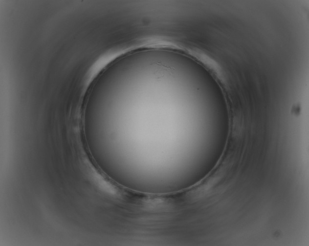 X0000093381231200710111448