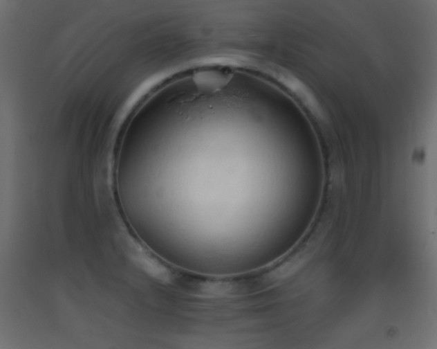 X0000093381232200710111448