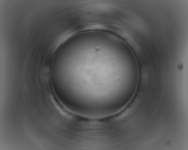X0000093381233200710111448