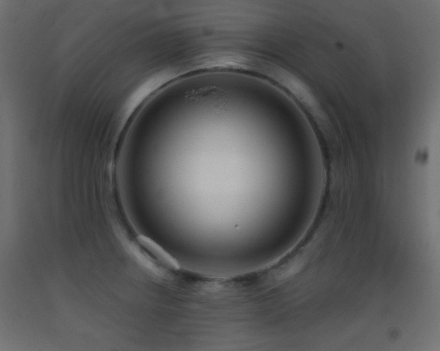 X0000093381234200710111448