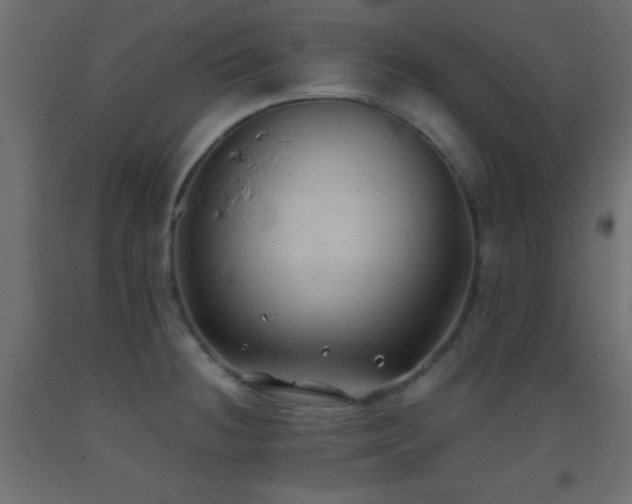 X0000093381236200710111448