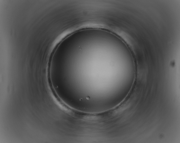 X0000093381237200710111448