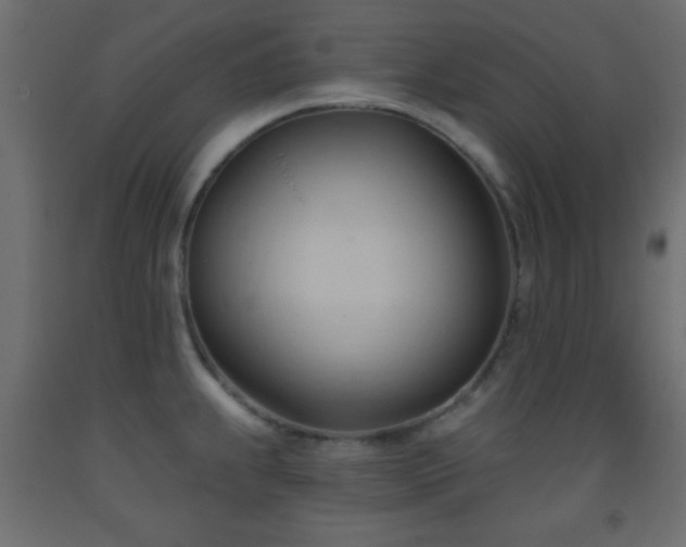 X0000093381239200710111448