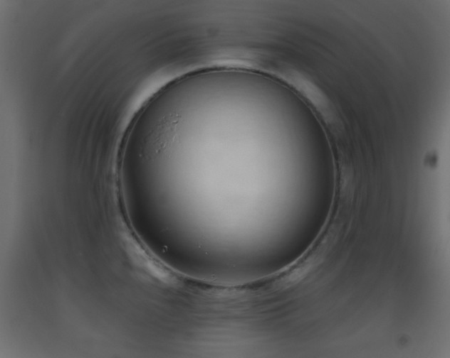 X0000093381240200710111448
