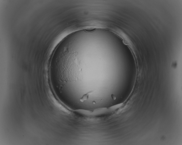 X0000093381243200710111448