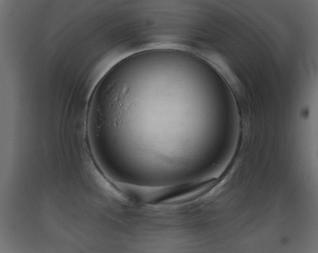 X0000093381244200710111448