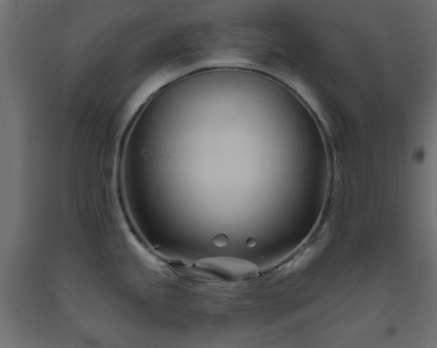 X0000093381245200710111448