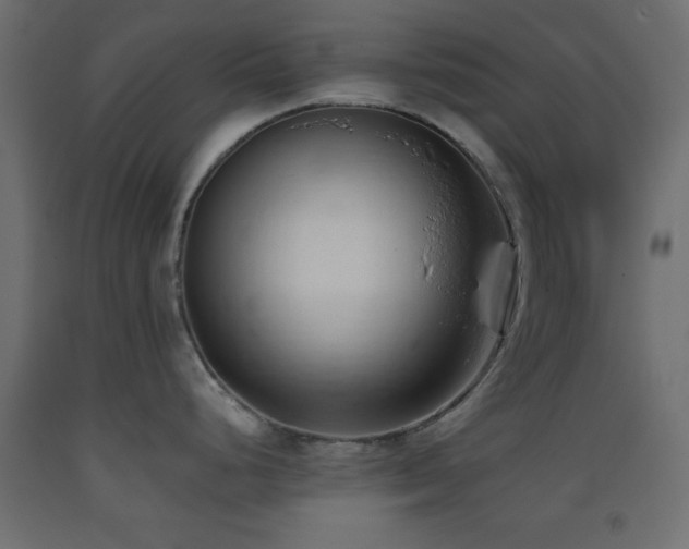 X0000093381248200710111448