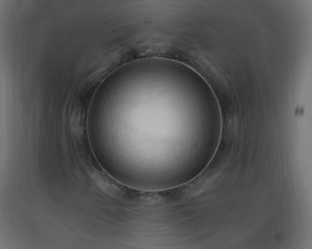 X0000093381250200710111448
