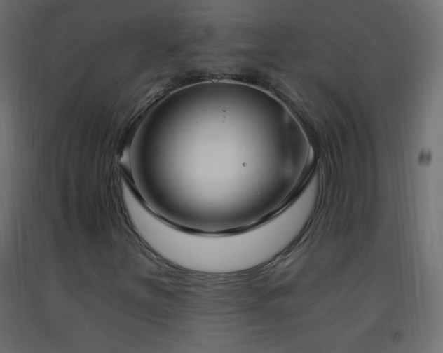 X0000093381251200710111448