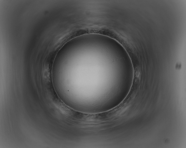 X0000093381252200710111448