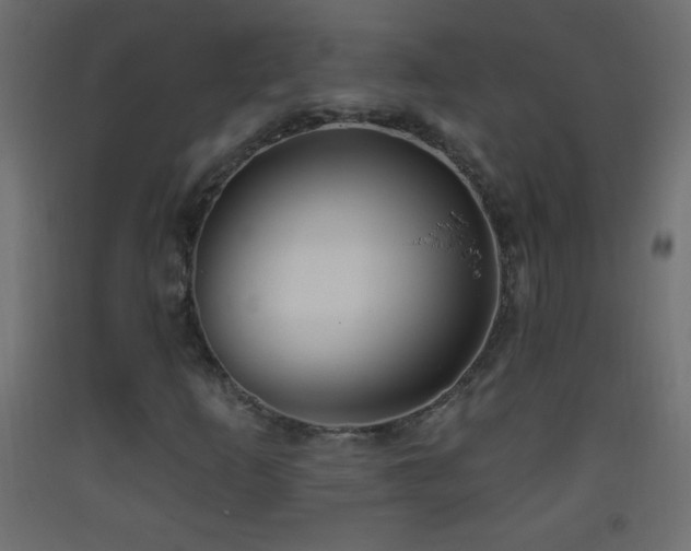 X0000093381253200710111448