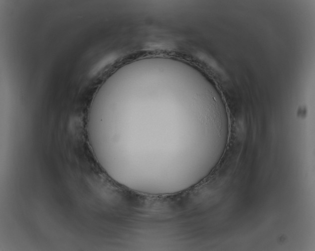 X0000093381254200710111448