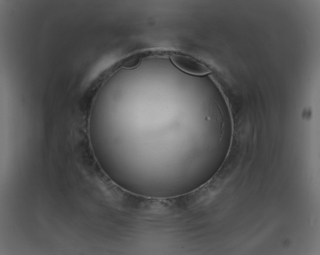 X0000093381255200710111448