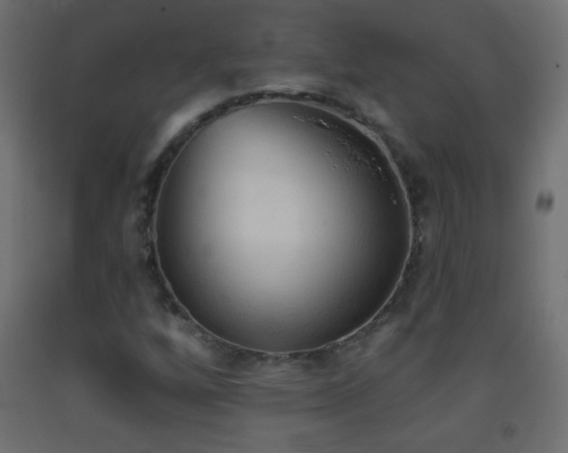 X0000093381256200710111448
