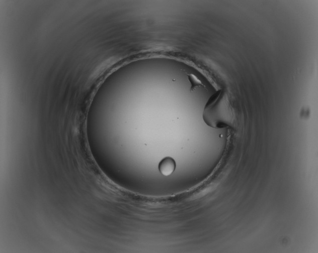 X0000093381257200710111448